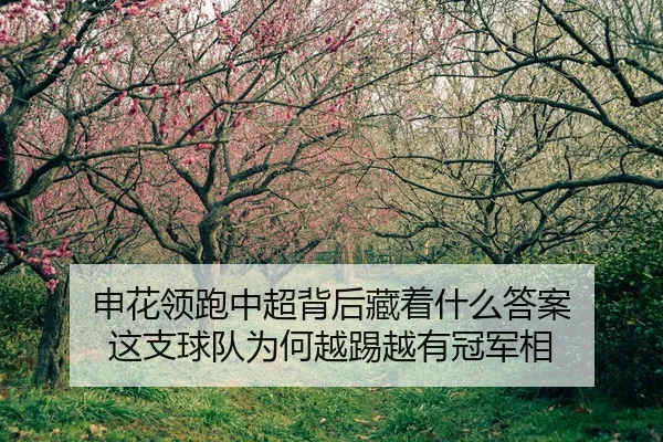 申花领跑中超背后藏着什么答案 这支球队为何越踢越有冠军相