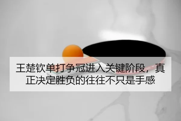 wang-chu-qin-dan-da-zheng-guan-jin-ru-guan-jian-jie-duan-zhen-zheng-jue-ding-sheng-fu-de-wang-wang-bu-zhi-shi-shou-gan-3-412.jpg
