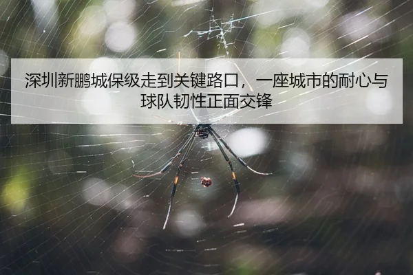 shen-zhen-xin-peng-cheng-bao-ji-zou-dao-guan-jian-lu-kou-yi-zuo-cheng-shi-de-nai-xin-yu-qiu-dui-ren-xing-zheng-mian-3-326.jpg